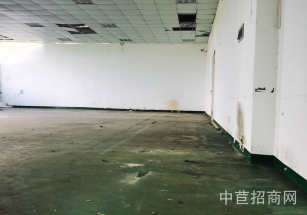 浦東新區(qū)層高6米獨(dú)棟廠房大平層 稀少可環(huán)評(píng)廠房 證件齊全