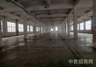 松江區層高7.5米獨門獨院雙層 可生產研發 租金低