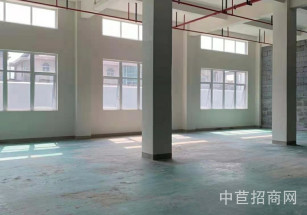 松江區層高6.8米獨門獨院大平層 稀少可環評廠房 面積可分割