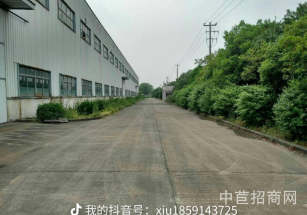 金山區層高6.5米標準廠房大平層 租金低 配套齊全 空地大 停車方便