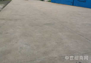 金山區層高6米獨院獨棟雙層 知名開發商 園區形象好