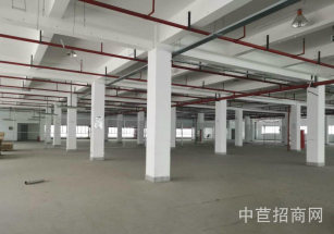 浦東新區(qū)層高6米標準廠房雙層 一手研發(fā)廠房出租，超長免租期