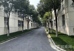 松江區(qū)層高6米獨院廠房一層大面積配套齊全 丙類消防 政策優(yōu)惠