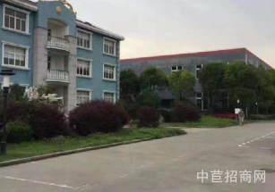 嘉定區層高6.5米獨門獨院一層租金便宜 資金壓力小