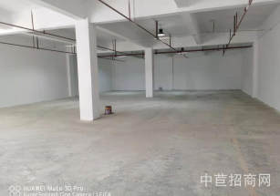 嘉定區(qū)層高7米獨門獨院大平層 優(yōu)質(zhì)房源出租 園區(qū)有政策紅利 人才補貼