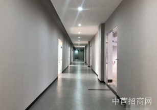 松江區(qū)層高6.8米標準廠房一層租金超低 適合各類無污染企業(yè)