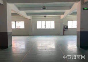 嘉定區(qū)層高7.5米獨(dú)院廠房多層大面積配套齊全 丙類消防 政策優(yōu)惠