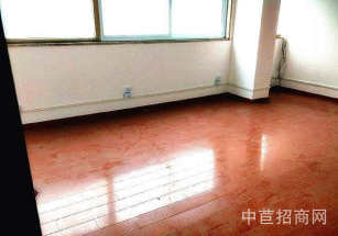 寶山區(qū)層高6.8米獨(dú)院廠房單層辦公研發(fā) 園區(qū)形象好 配套食堂