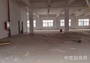 金山區(qū)層高7.5米獨院獨棟單層研發(fā)辦公名開發(fā)商 園區(qū)形象好 玻璃幕墻