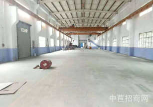 青浦區層高6米獨門獨院大平層 框架結構，無稅收要求