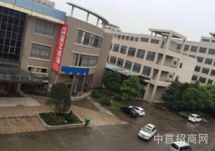 南匯區(qū)層高6米獨院廠房單層園區(qū)配套全 空地大 停車方便