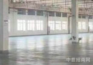 奉賢區(qū)層高6.5米獨院廠房一層送免費停車位 租金低大貨梯