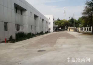 奉賢區層高6米獨院獨棟單層有免租期 可以分租 環氧地坪