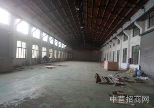 奉賢區層高6米獨棟廠房一層園區形象好 配套食堂 車位足