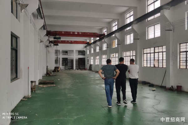 加载中...