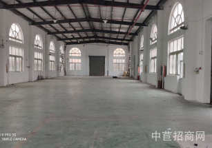 奉賢區層高6米獨棟廠房多層租金低 配套齊全 空地大 停車方便