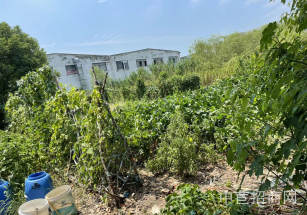 松江佘山獨門獨院出售松江佘山16畝獨門獨院廠房出售，研發中心 公司總部