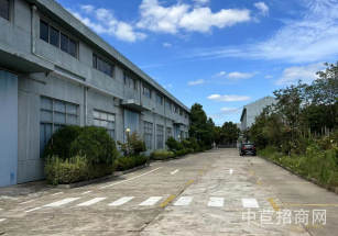 松江北九亭小面積單層廠房九亭獨棟廠房出售 九亭二手小業主廠房出售 靠近高速