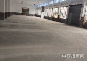 金山亭林工業園原房東一樓2500平出租  層高10米 