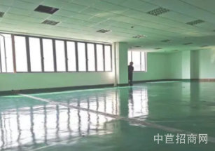 松江新橋原房東出租700平廠房倉庫，原房東出租