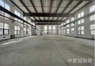 松江車墩單層廠房出售，層高11米，可做隔層