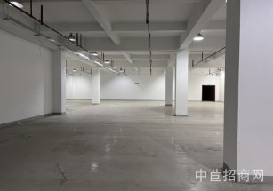 松江3000平廠房，可租可售，可做加工生產，隨時可看房