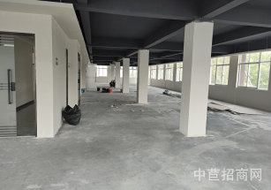 閔行辰客向陽園閔行區(qū)獨(dú)棟廠房出租可分割/園區(qū)整潔