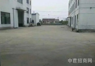 金山獨門獨院廠房出售急售 金山亭林獨門獨院占地24畝  空地大5畝 可環評