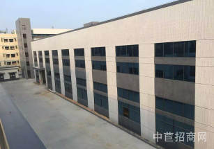 周浦小鵬 產業園周浦康橋附近繁榮路 工業園區104 廠房