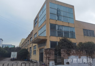 周浦小鵬 產業園18號線周浦雙層6米，104廠房出租