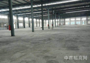 洞涇廠房松江洞涇5000平廠房，可租可售，，獨(dú)棟多層