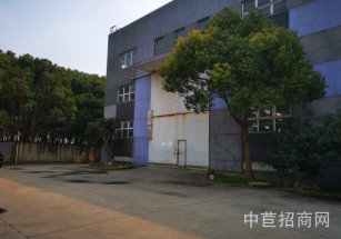 吳涇廠房吳涇3000平廠房，可租可售，隨時可帶看