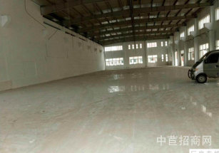 金山2500獨棟 出售金山小面積廠房出售，2500平，稅費各付