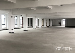 奉賢獨立園區50畝 出售奉賢50畝土地出售，45000平建筑面積，隨時可帶看