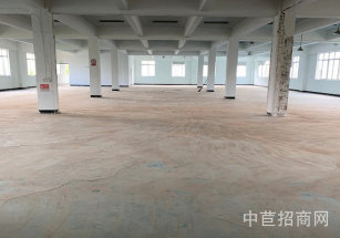 佘山6000平廠房園區(qū) 出租佘山104板塊獨門獨院6000平廠房出租，104板塊帶大場地