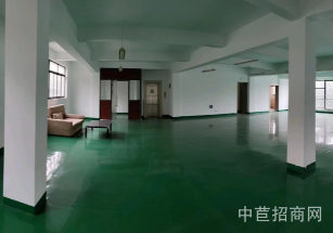 嘉定南翔企業公館獨棟出售