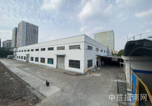 閔行區標準廠房獨棟出租閔行馬橋鎮3200平獨棟廠房出租一棟2400平、800平