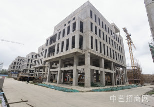 保集e藥谷奉賢區 保集e藥谷 獨棟廠房出售 可研發辦公設計生產 50年