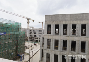 保集e藥谷保集e藥谷 獨(dú)棟總部企業(yè)辦公 1100平方起售 50年產(chǎn)證