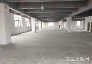 南翔45畝廠房出售