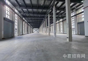 閔行工業區獨門獨院廠房單層雙層10000平50畝大空地出租