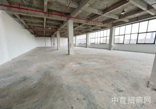 康橋博浪科創園浦東康橋獨棟出租