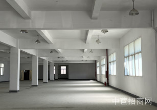 嘉定松立智能科技產業園出租出租 嘉定工業區廠房 3萬7千方