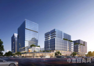 保集e藥谷奉賢 南橋保集e藥谷 獨棟研發(fā)辦公廠房帶燃氣 可環(huán)評 