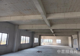 柳州市柳南區全新新建廠房出租