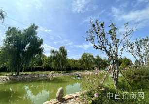 天津市濱海新區天津開發區中南四街117號廠房出租