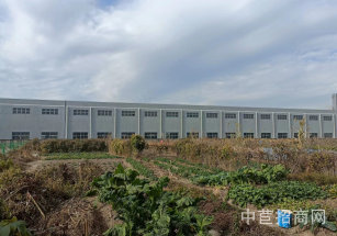 奉賢26000方單層廠房出租奉賢2.6萬(wàn)單層廠房出租，層高14米，配套40噸行車