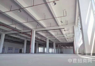 南京全新廠房出售 六合廠房出售 獨門獨院