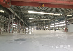 上海市金山區金山41畝獨院廠房出售