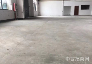 青浦滬青平公路滬青平公路 單層廠(chǎng)房1樓400平 層高8米